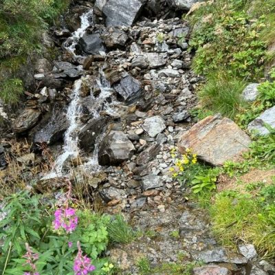 image12
