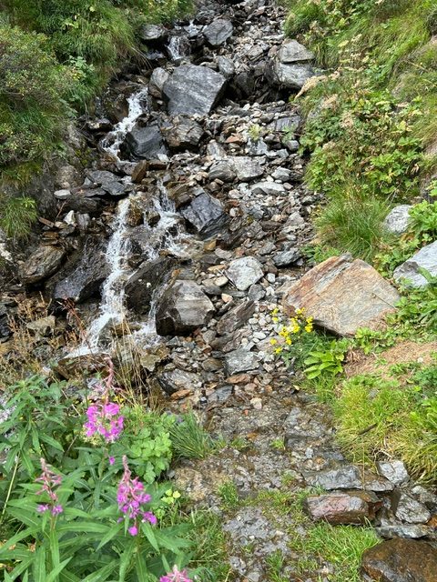 image12